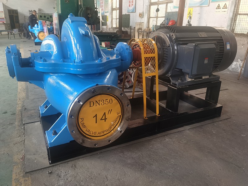 博山宅男在线视频